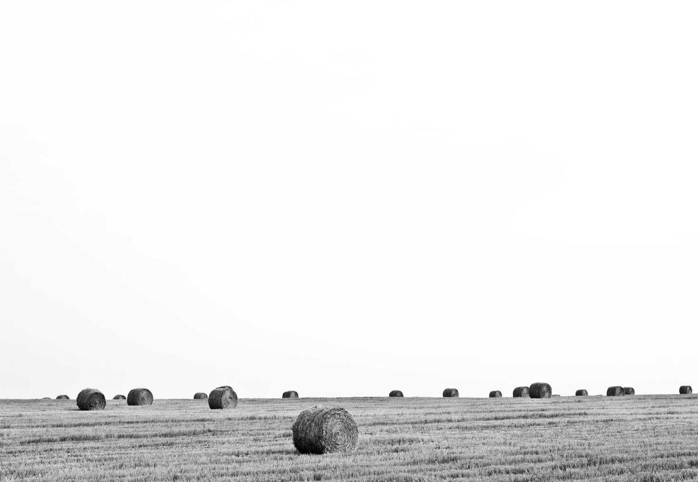 出各种微信号:代理注册公司业务价钱