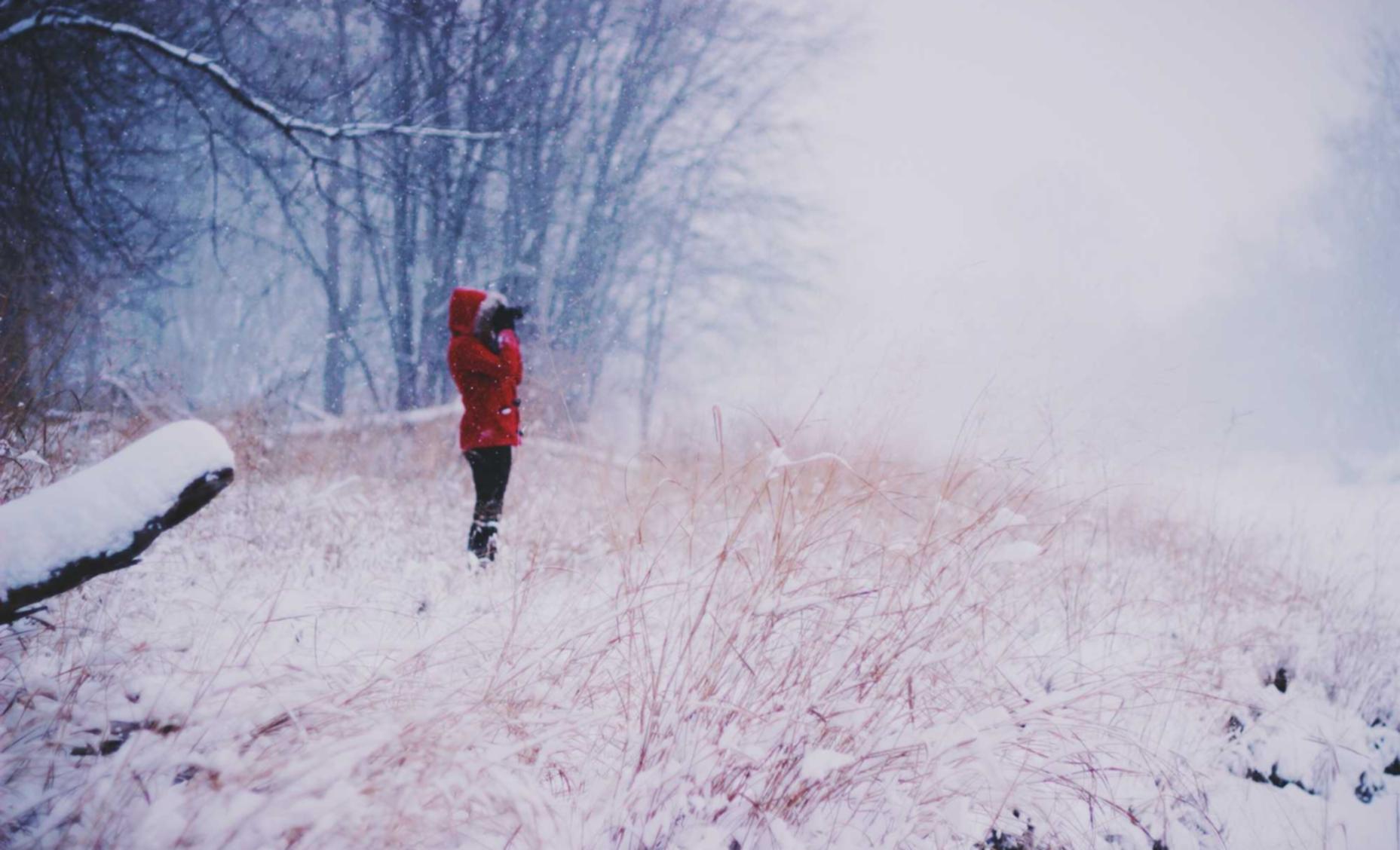 火种实名账号:泉州小猫购买平台