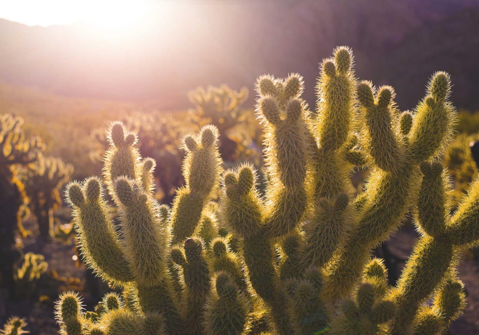 快手实名账号:新街口代理注册企业