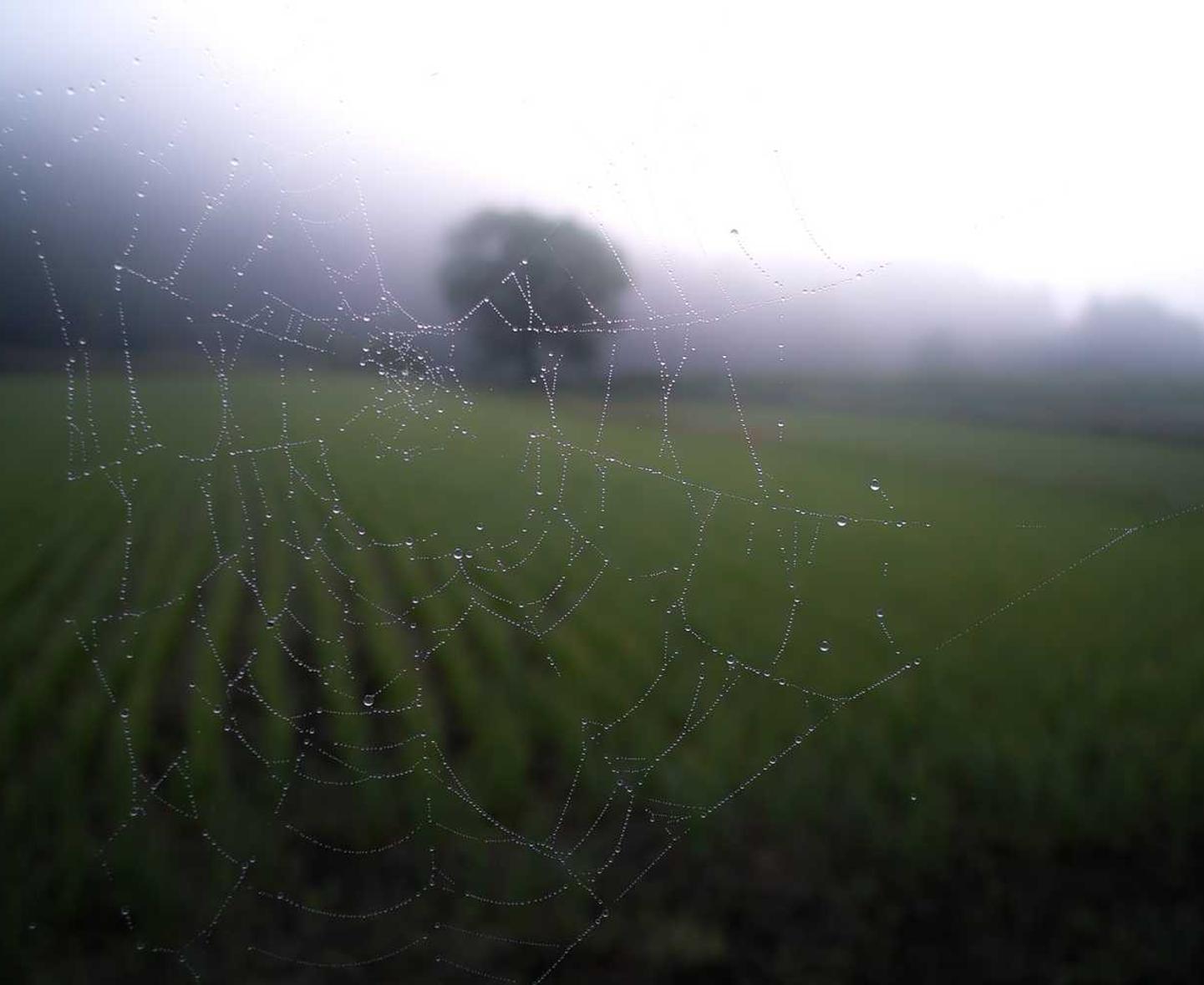 网站压力测试|雄安招标代理平台