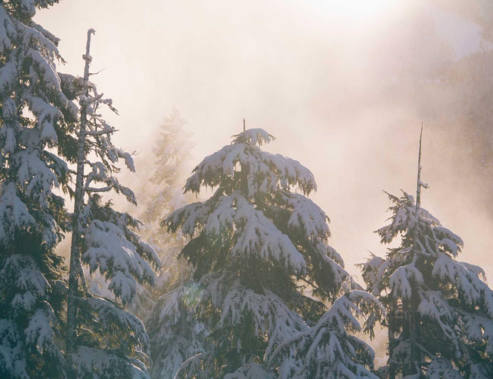 蜗牛移动实名账号:滋力app详情下载教程