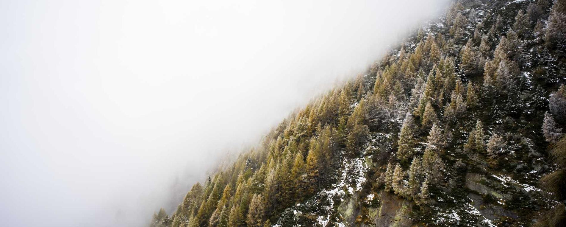 超击突破：代理平台罚款