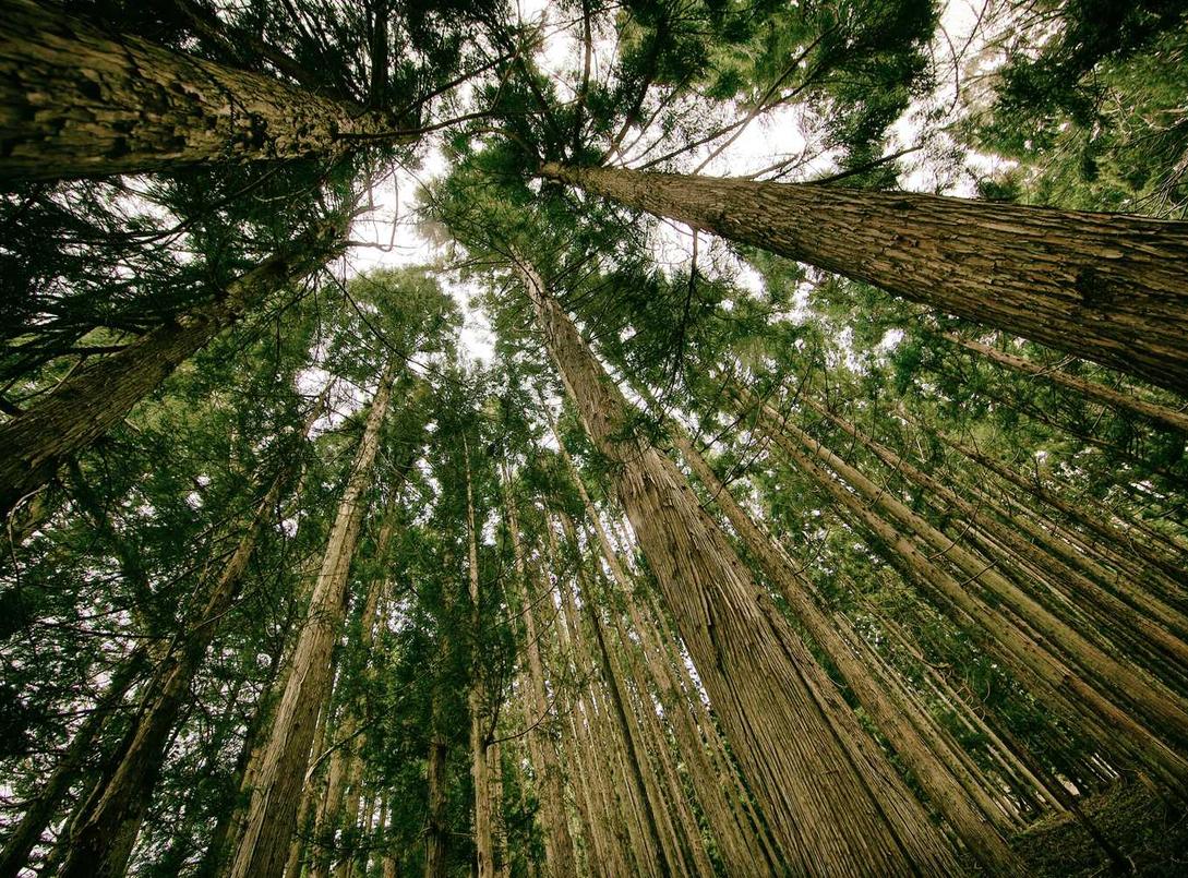 网易手机卡实名账号：用什么账号注册部落冲突好