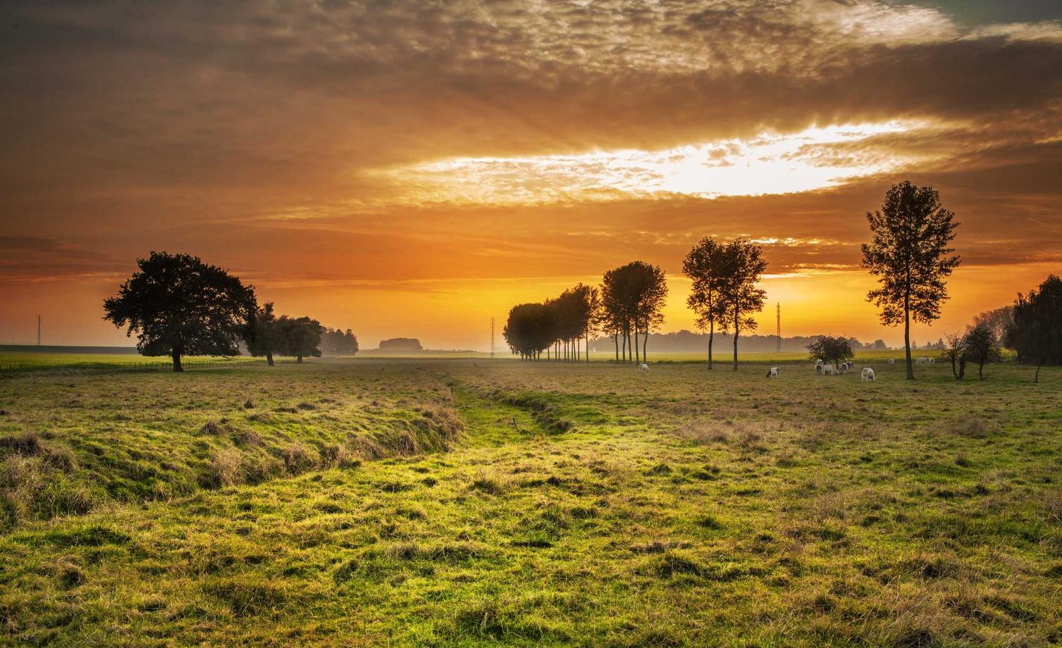 光辉娱乐，注册|让你的员工参与你的营销