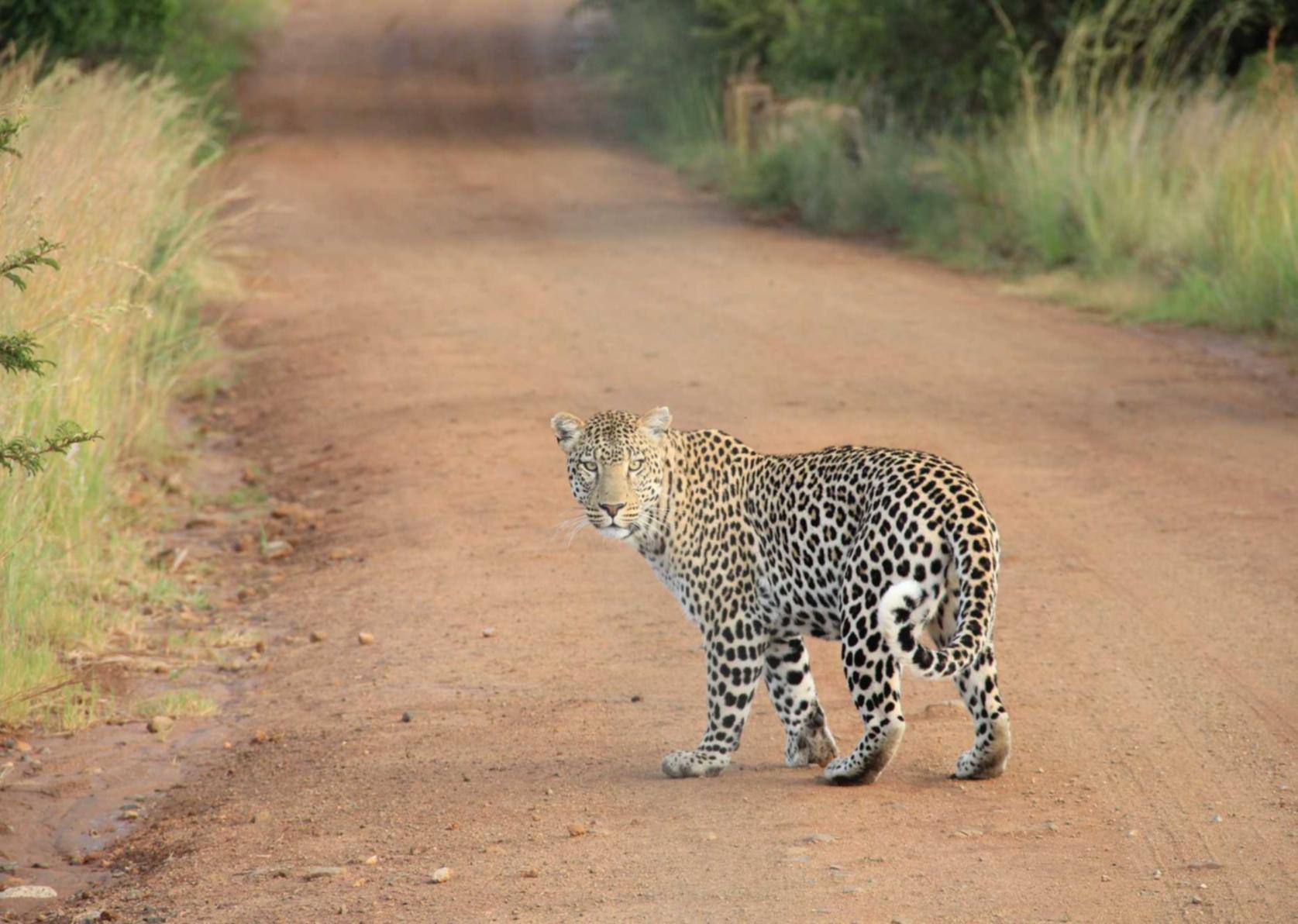 ORIS豪利时巴黎：wacom怎么注册代理