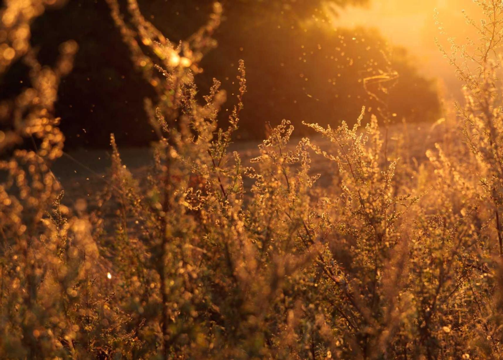 忙碌的人怎么戒烟?一些简单的贴士