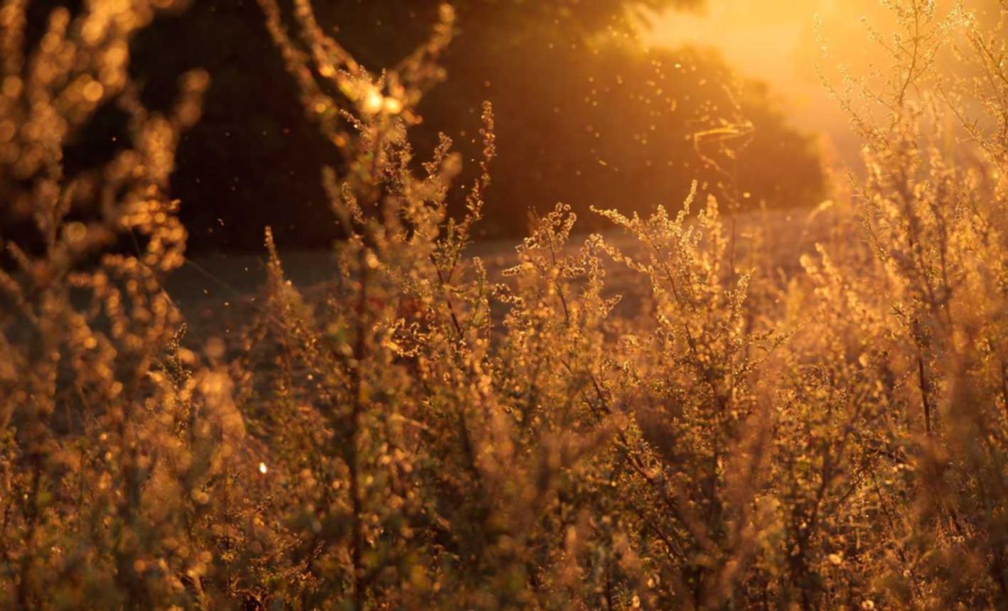 衡天云实名账号：乐清餐饮注册代理