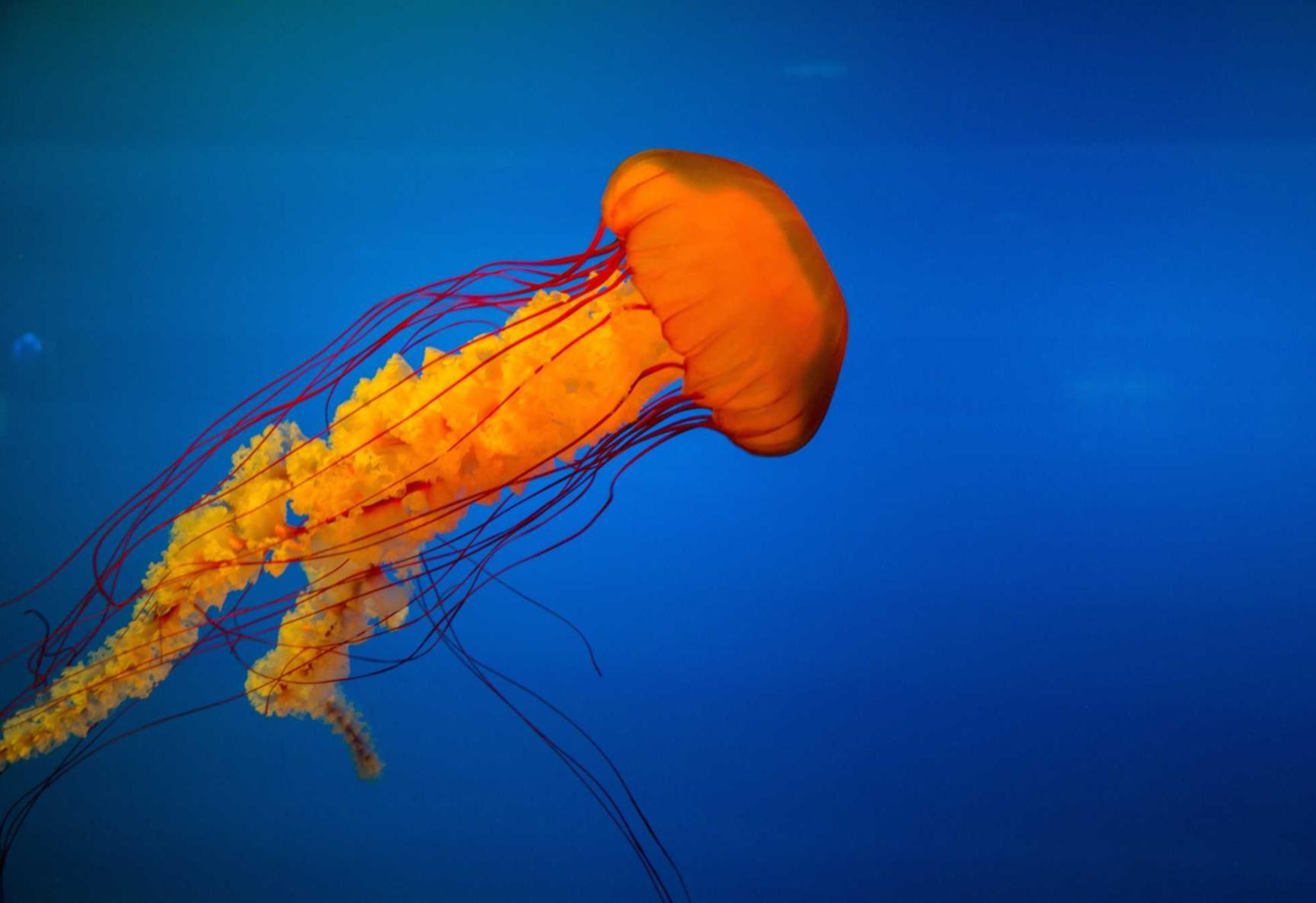 富联娱乐,注册|app详情下载教程了软件找不到