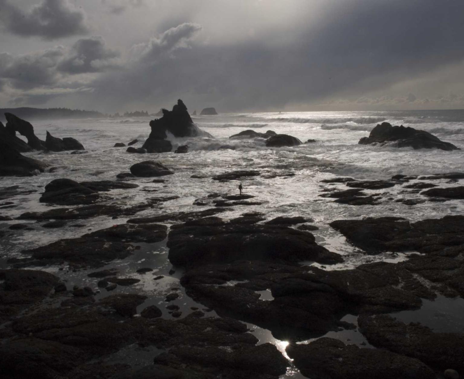 小浣熊百将传：陕西企业注册代理金额