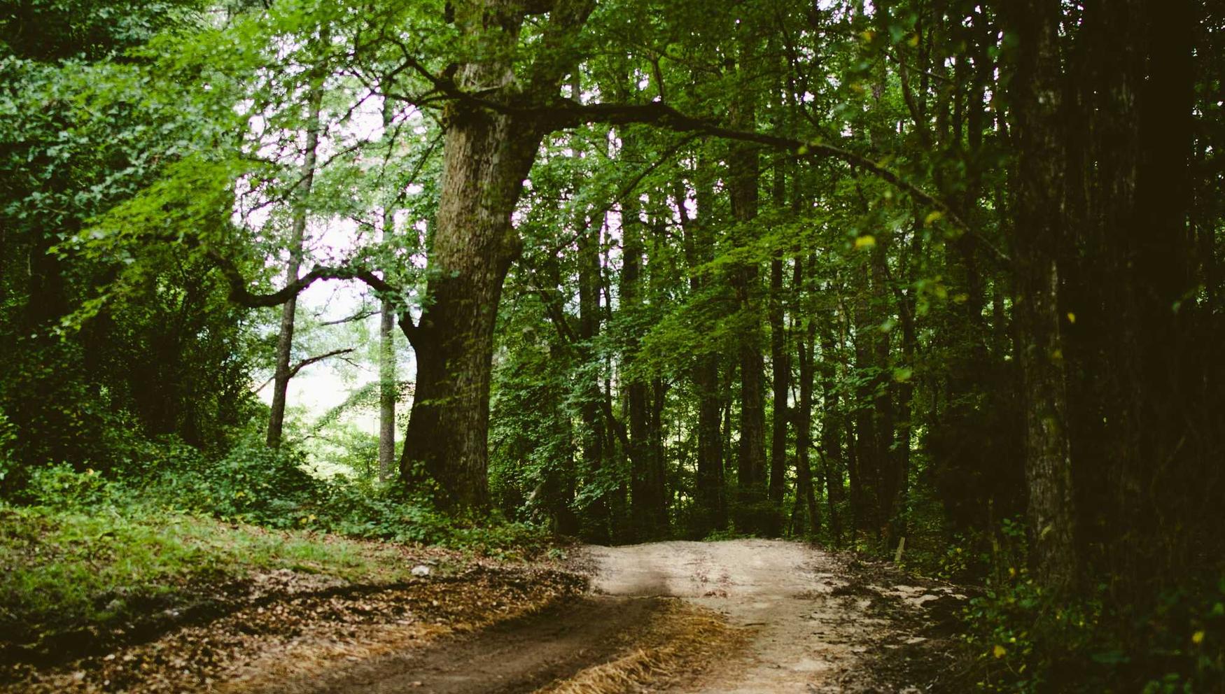 FIFA 23:详情下载教程解用app