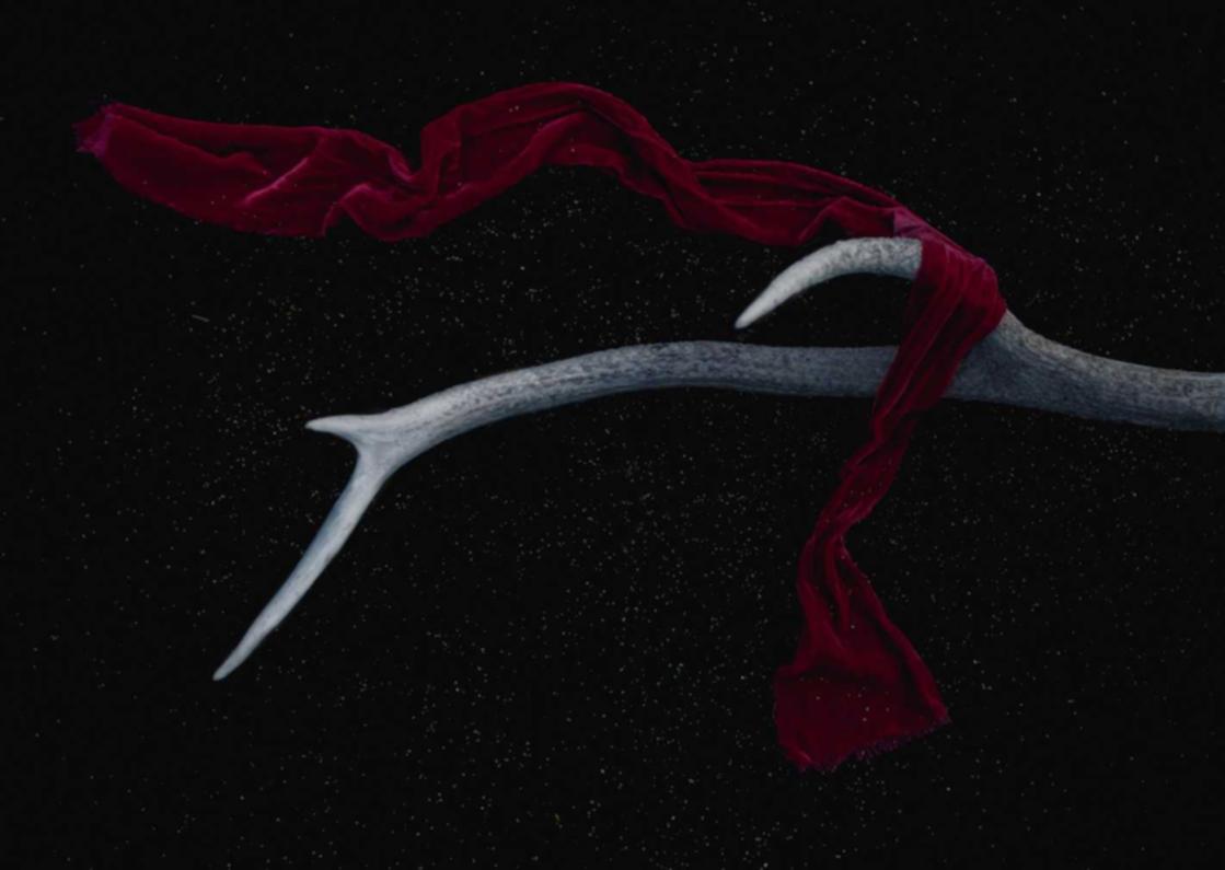 西部数码实名账号:成都工商注册代理地址查询